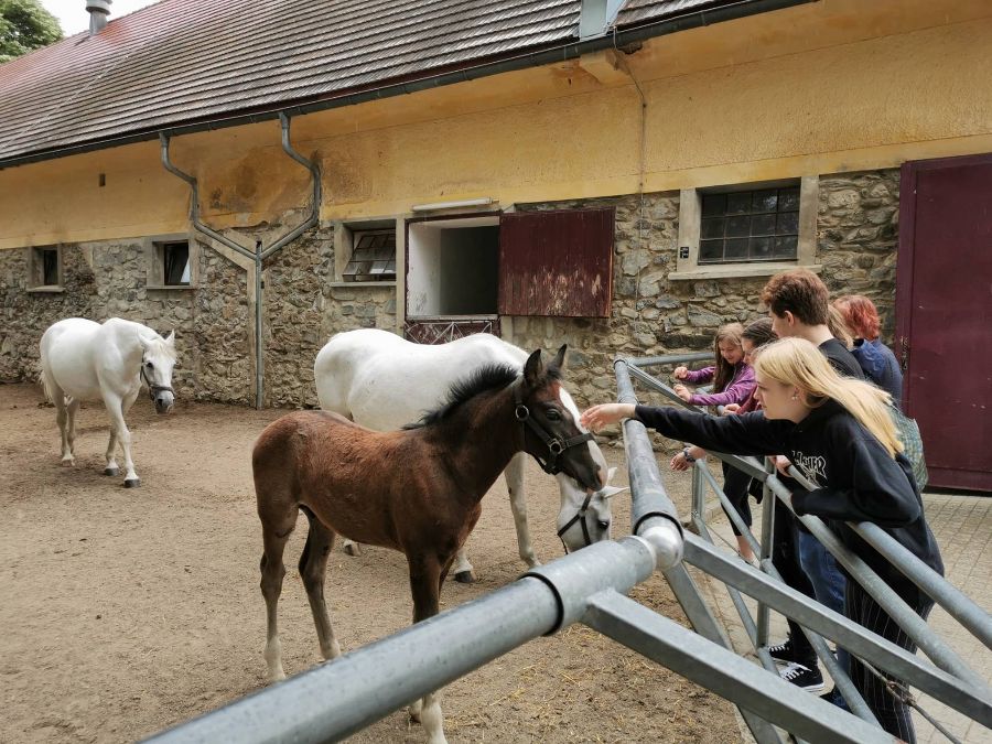 Für die 1a war die Weststeiermark das Ziel der 2tägigen Exkursion.