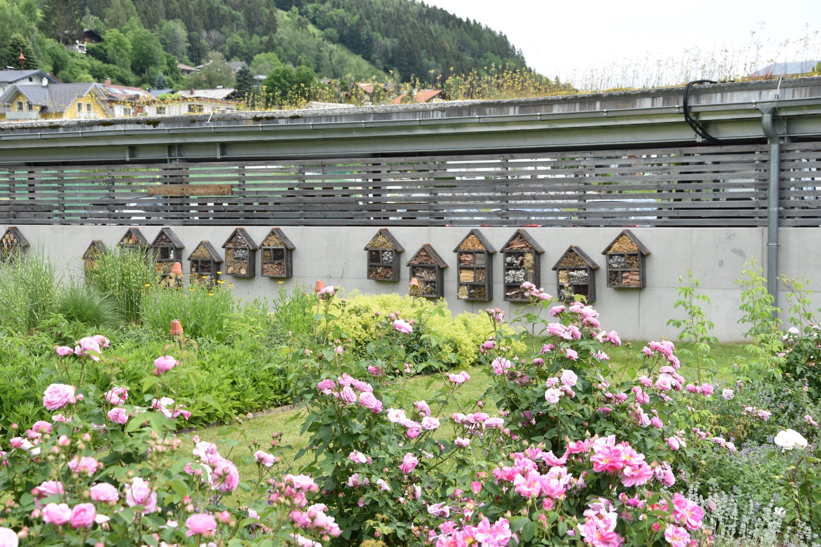 Insekten-Chalet-Dorf-Eröffnung