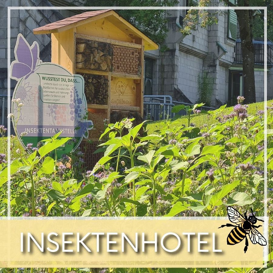 Insektenhotel Insektenhotel