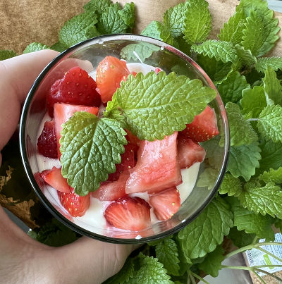 Topfen-Beeren-Trifle