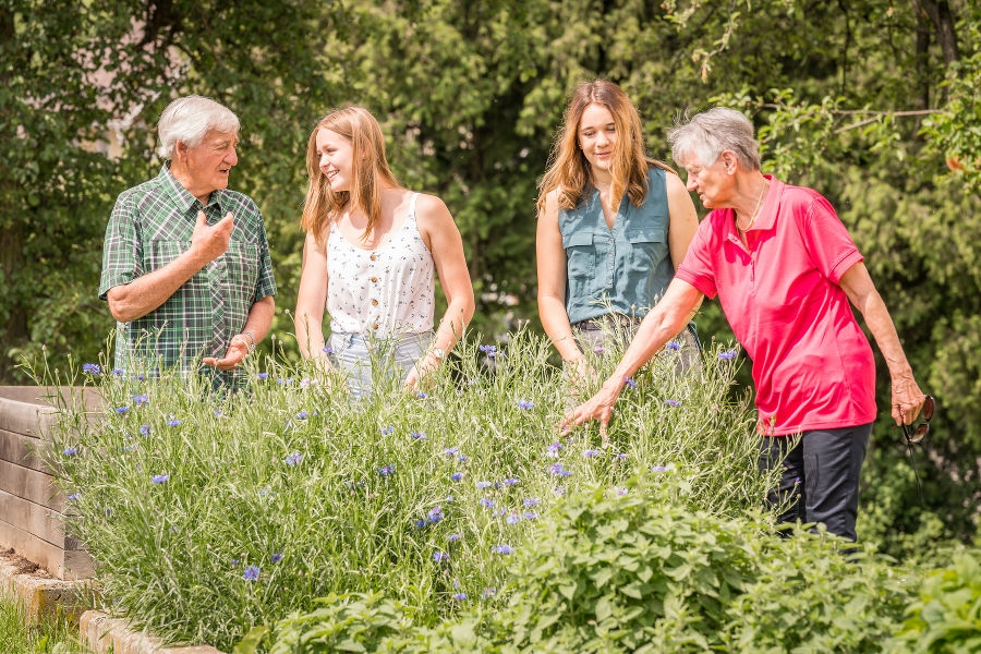 Gesundheit und Soziales