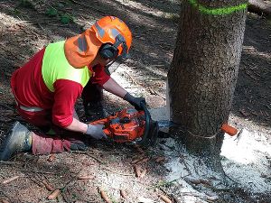 Schüler posieren im Wald mit ihrer Forsttechnik