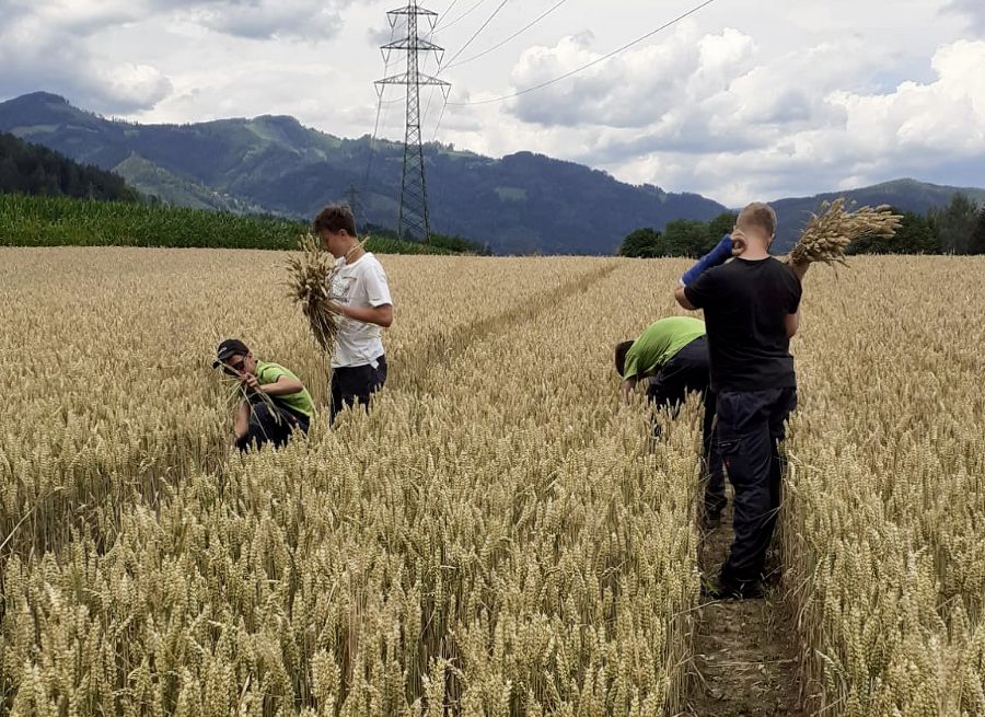 PU Bodenkunde und Pflanzenbau