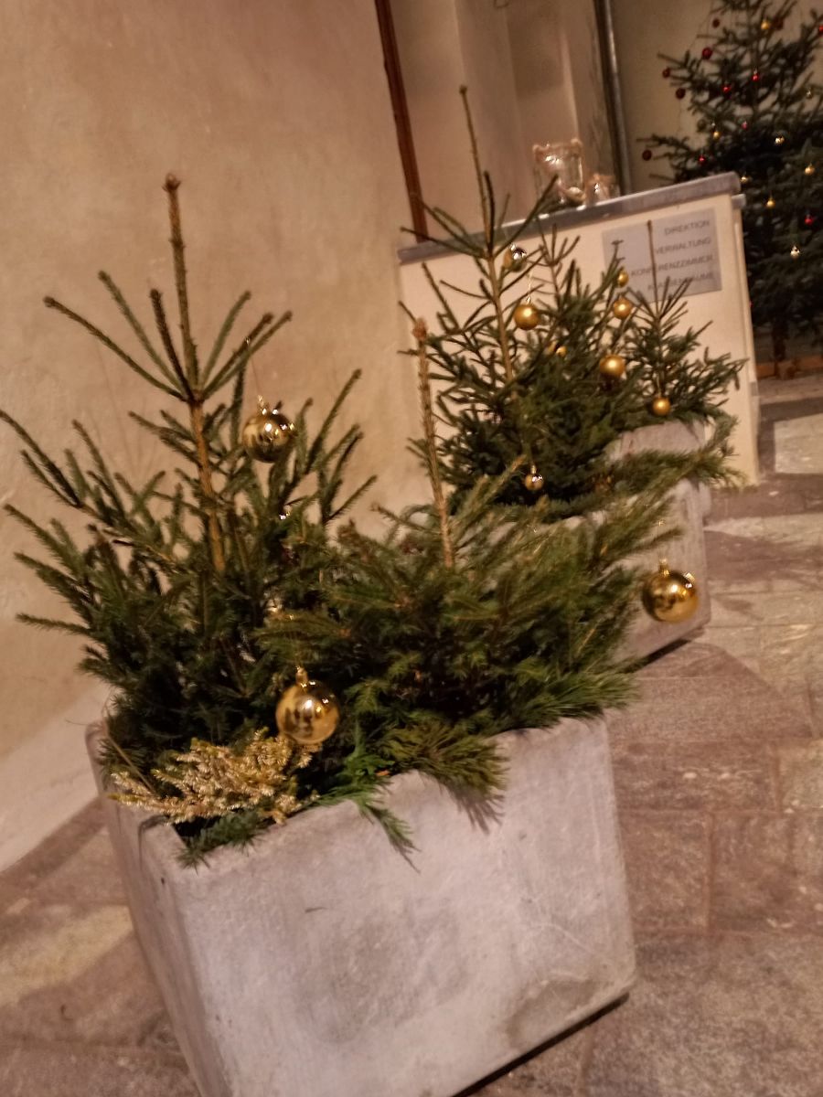 Advent in Feistritz Advent in Feistritz