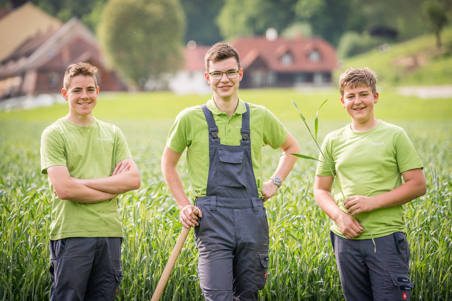 Land- und Forsttechnik