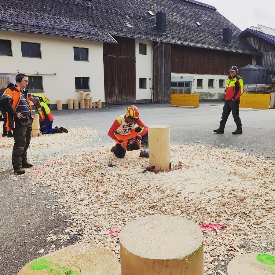 Staatsmeisterschaft für Waldarbeit