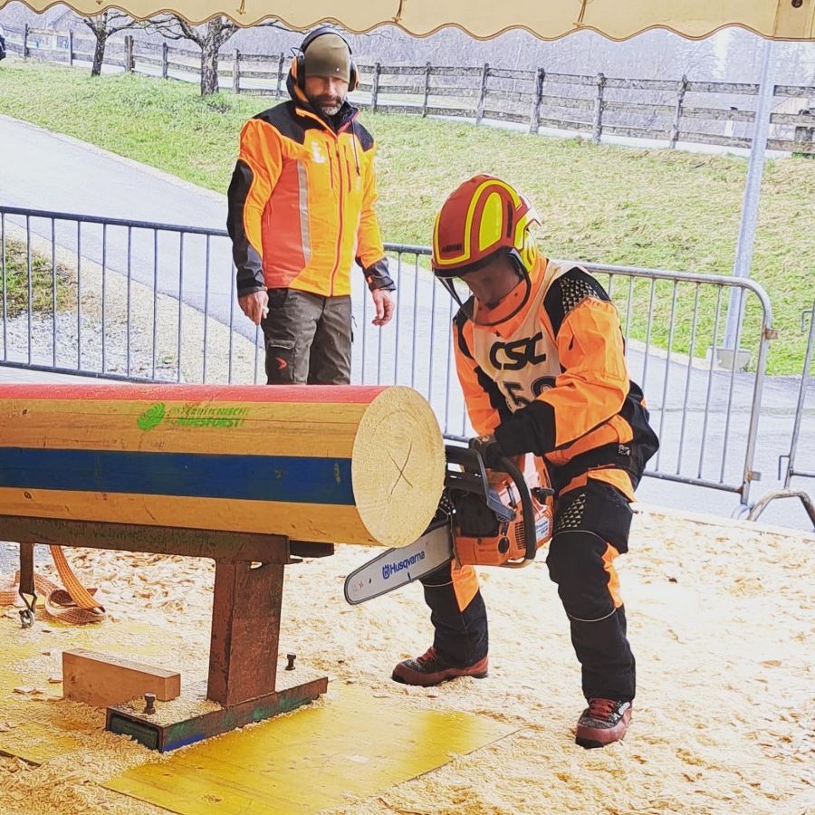 Staatsmeisterschaft für Waldarbeit