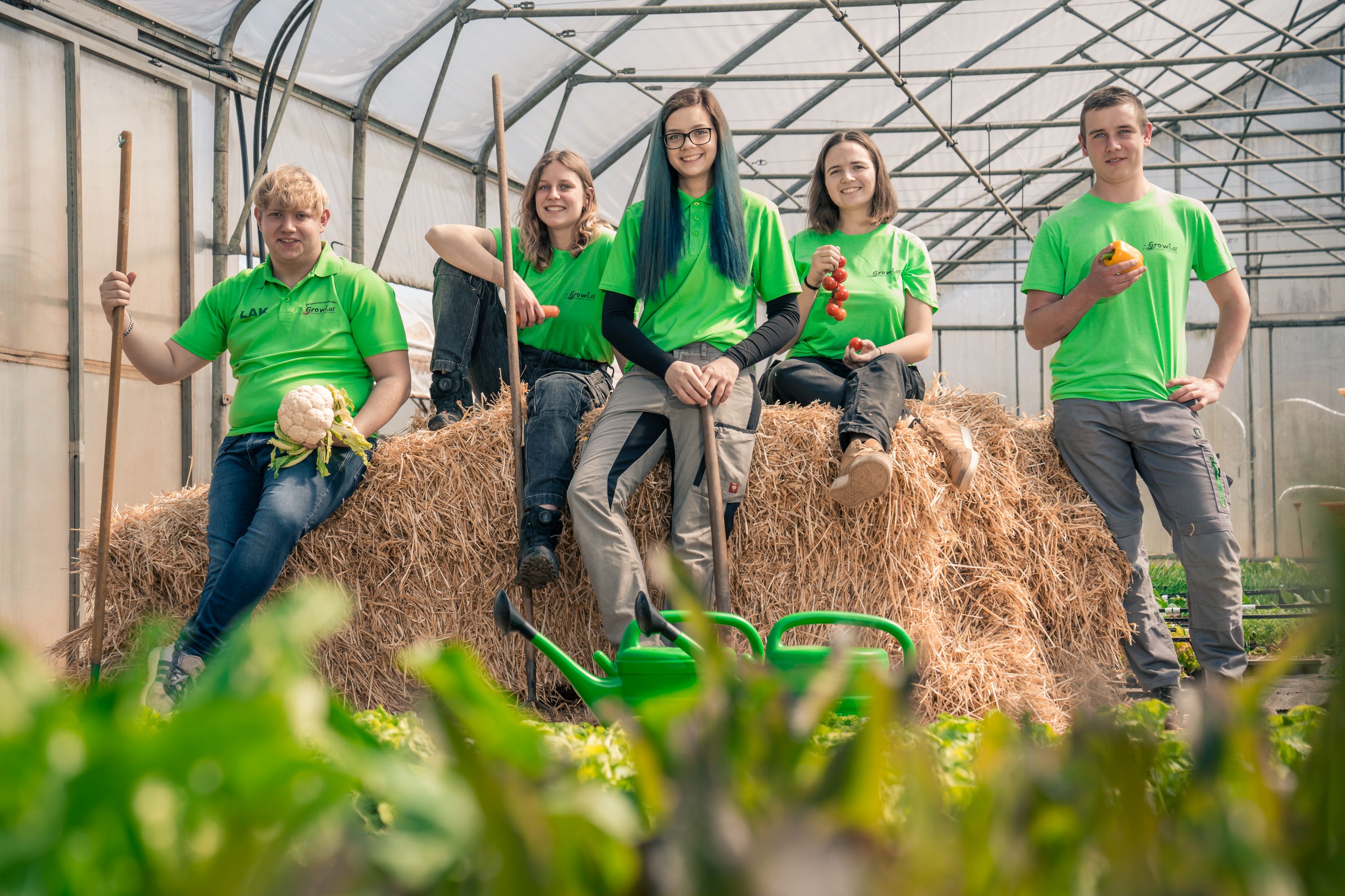 Gärtnerische Berufsschule Großwilfersdorf Fachschulen Land Steiermark