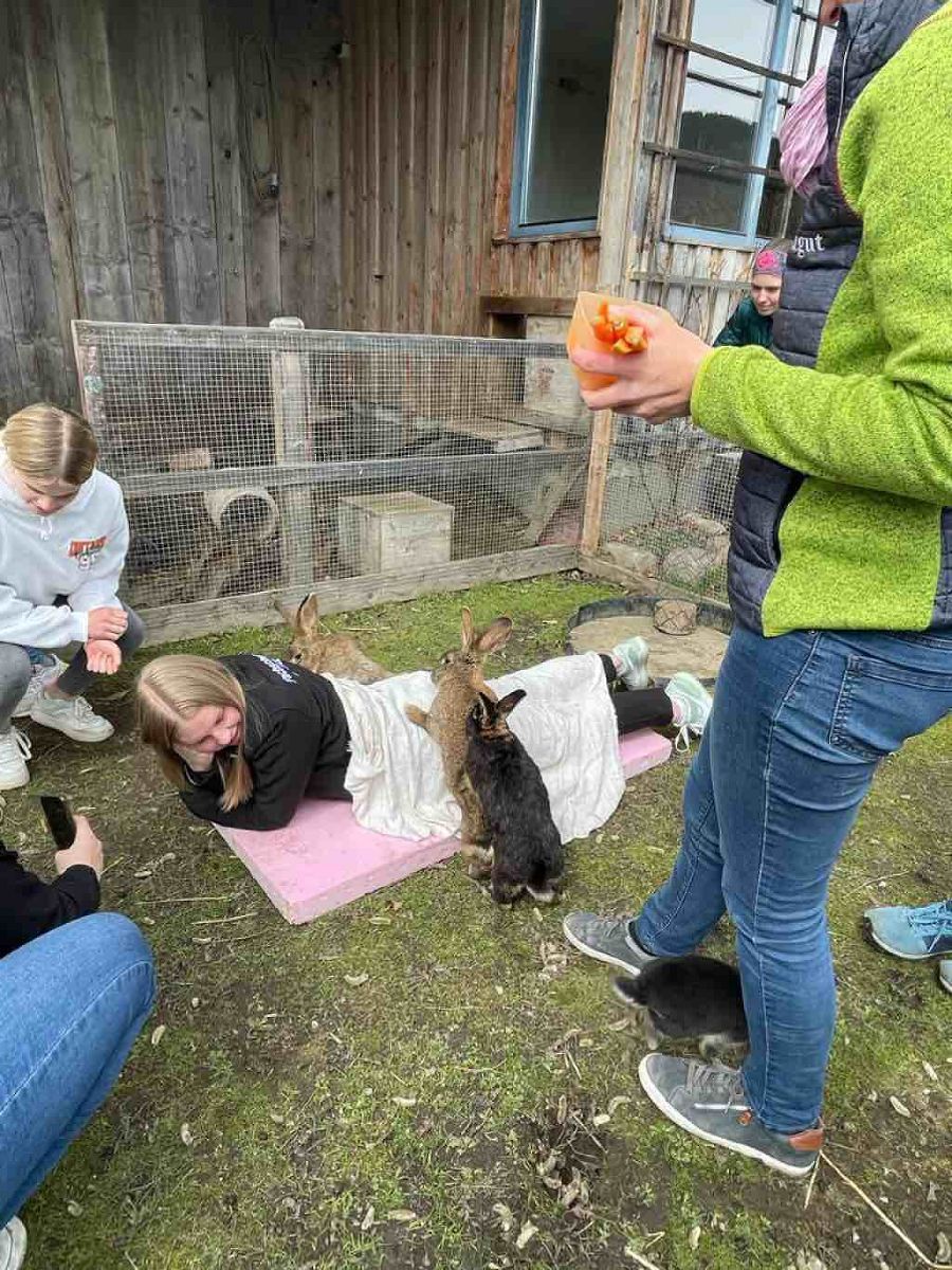 Besuch des Green Care Betriebes GRATZGUT in Tamsweg, 