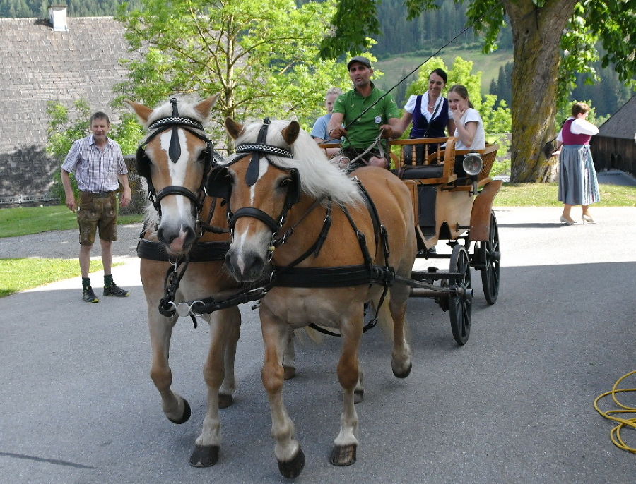 75 Jahre Fachschule Schloss Feistritz Jubiläumsfeier am 02.06.2023