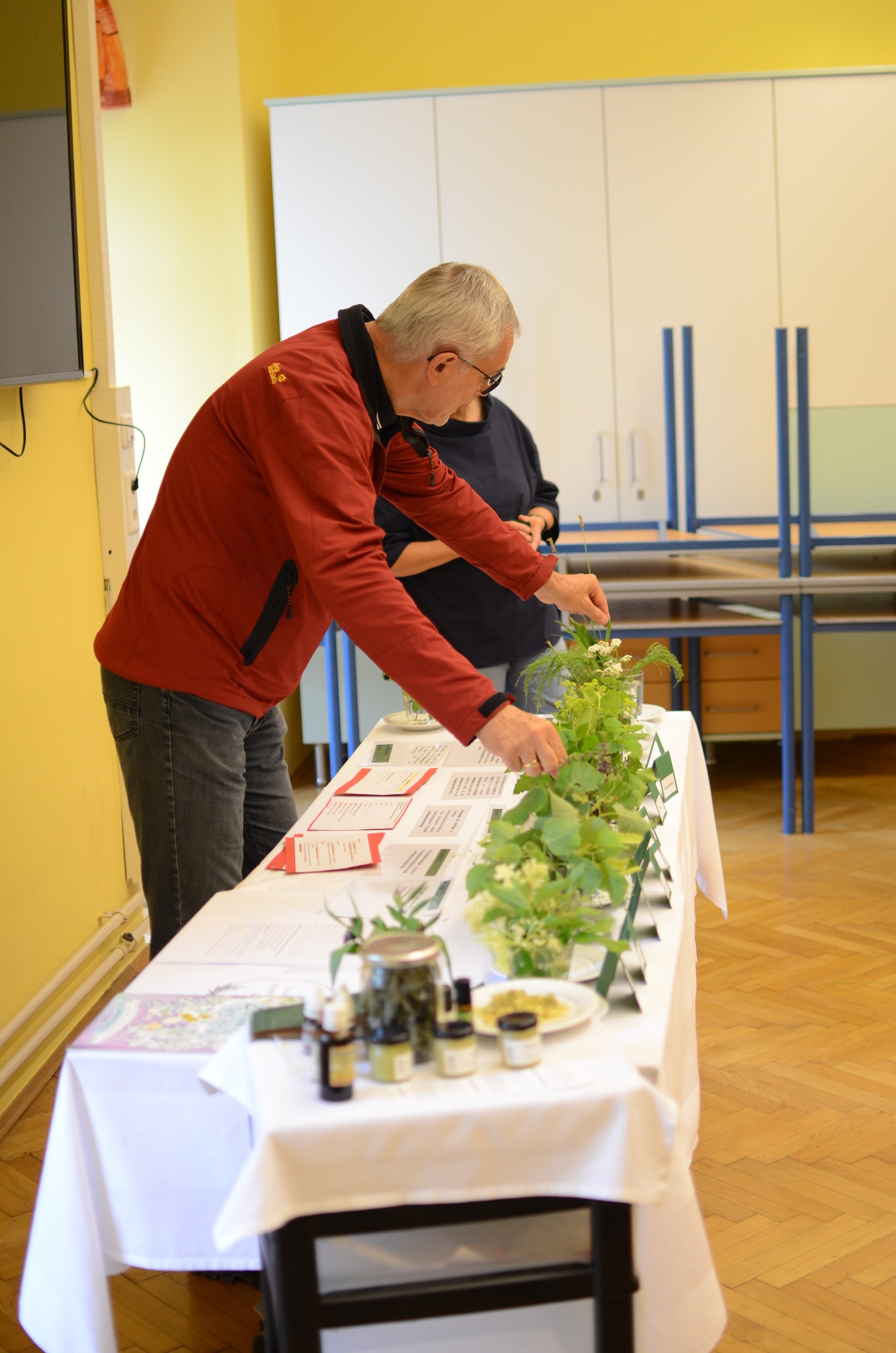 Zauberkraut
