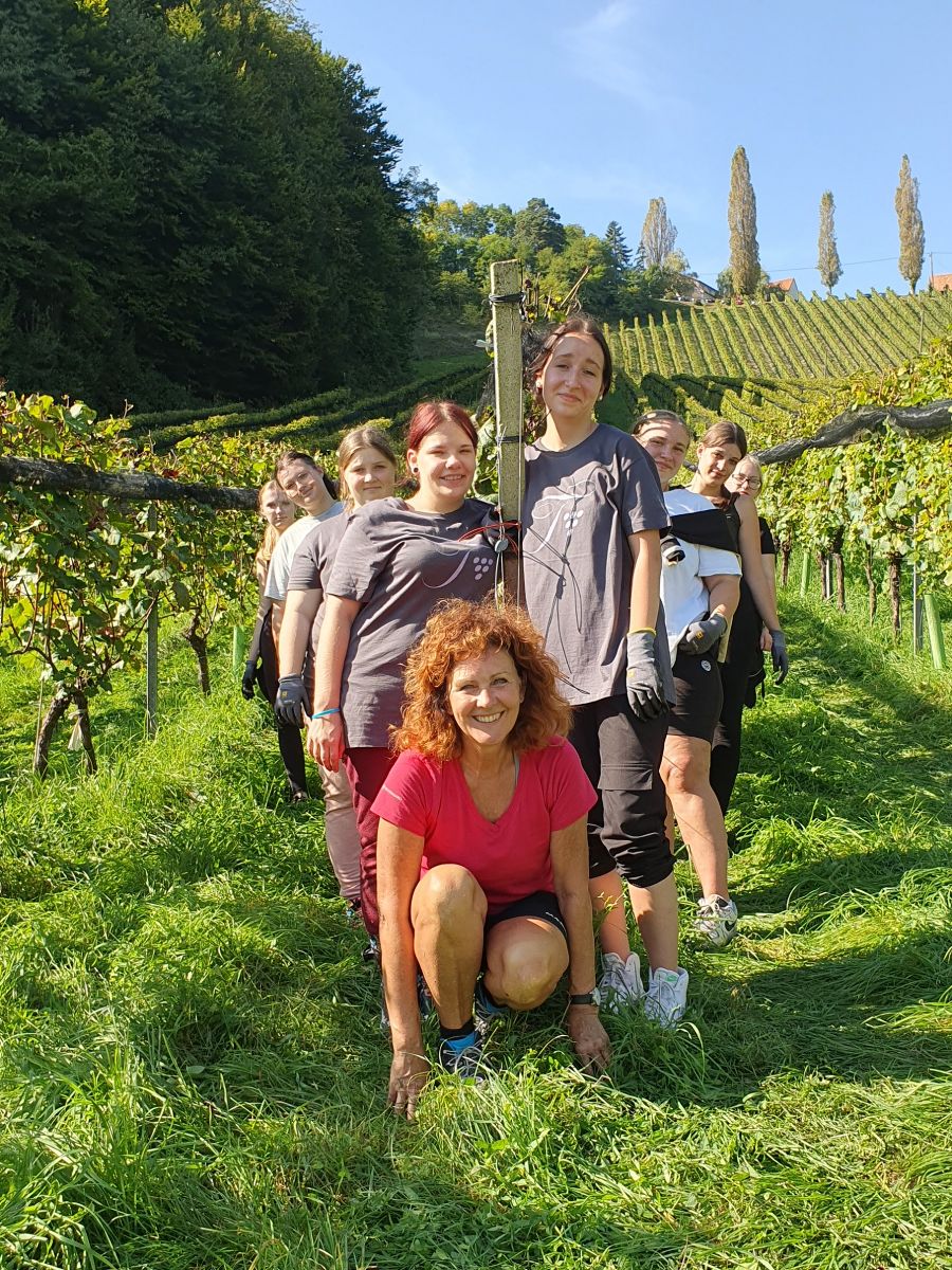 Weinlese beim Weingut Tement