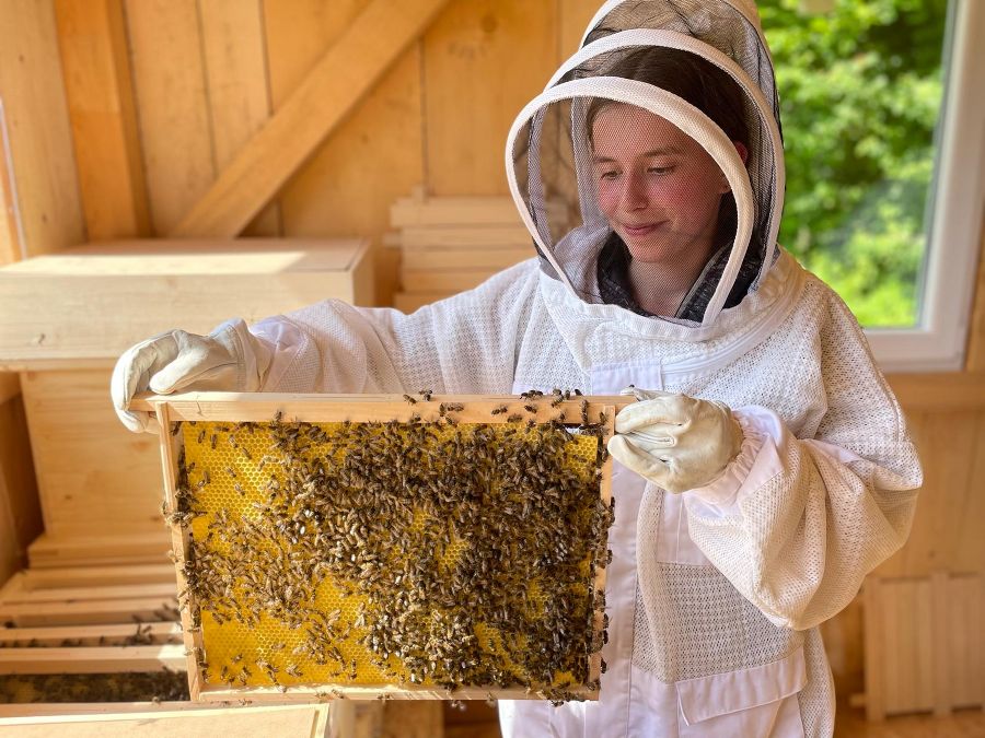 Bienen