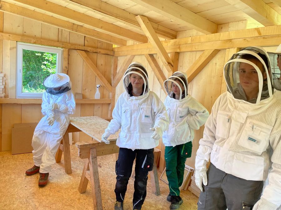 Bienen