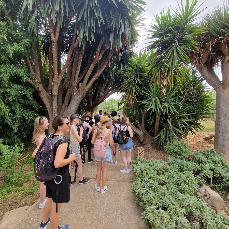 Abschlussreise Mallorca Abschlussreise Mallorca