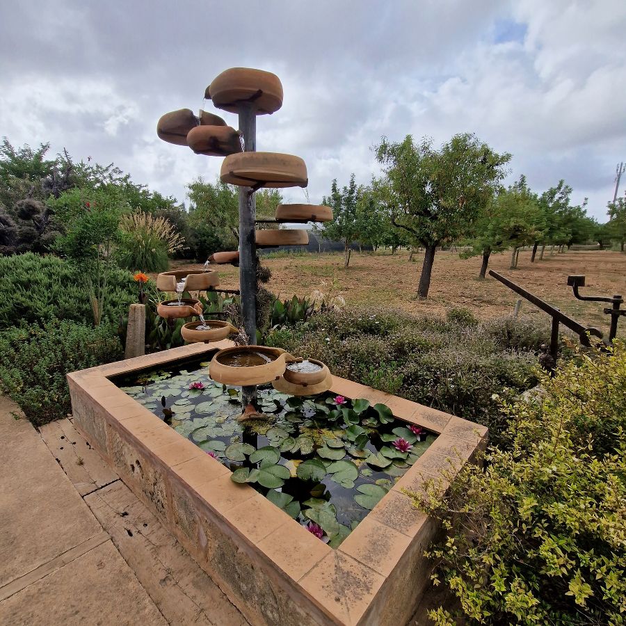 Abschlussreise Mallorca Abschlussreise Mallorca