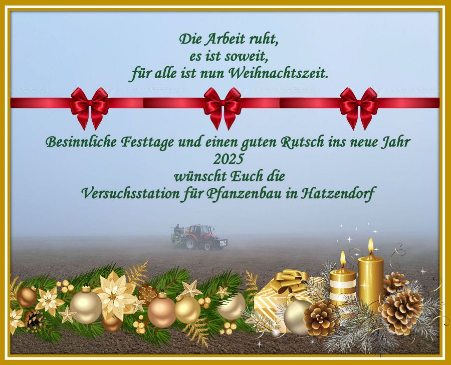 Weihnachtsgruß