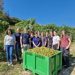 Weinlese 2024 © FS Vorau
