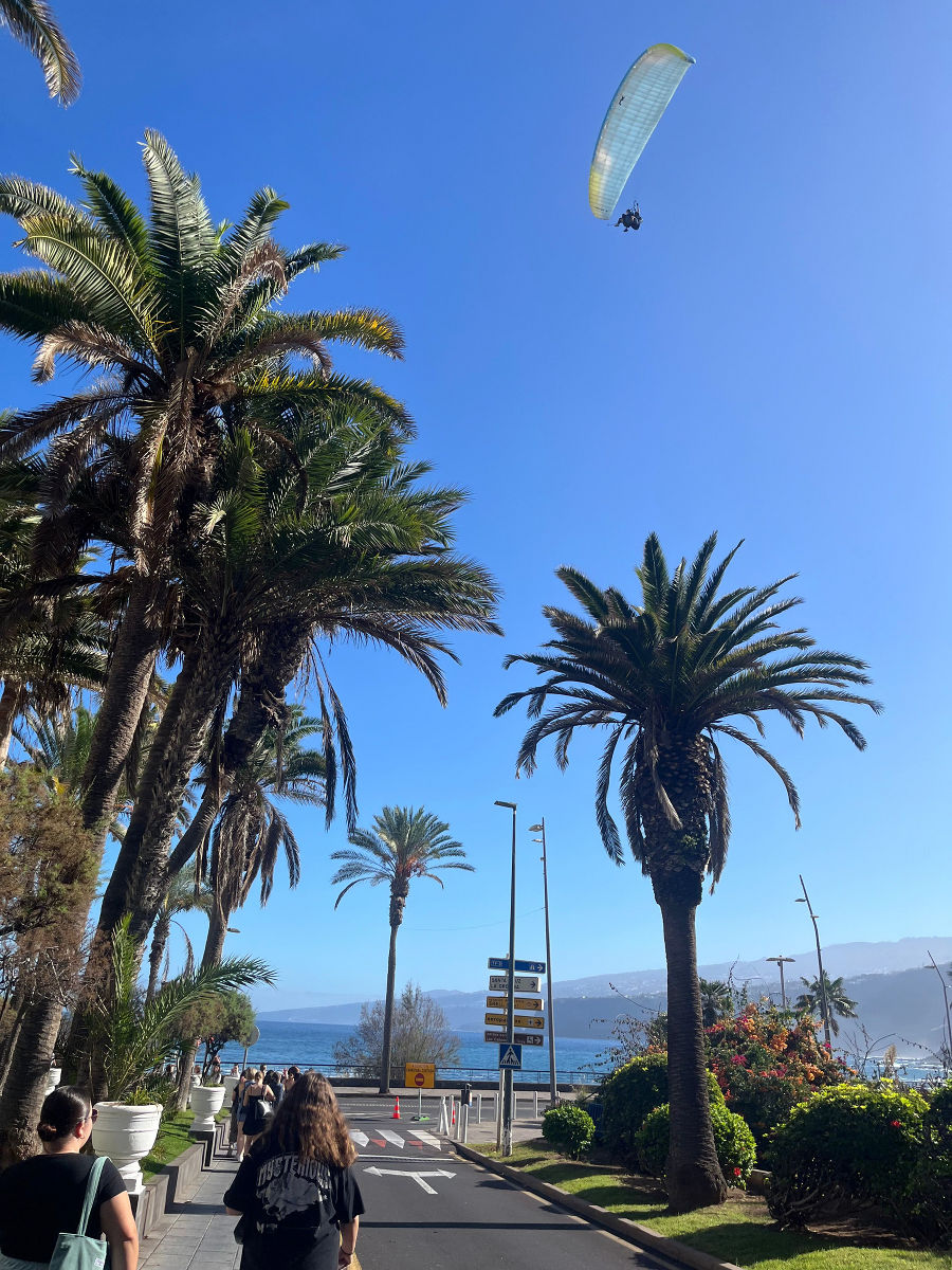 Teneriffa 2024 Teneriffa 2024