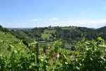 Obst- und Weinlehrpfad Silberberg