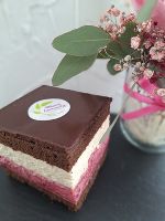 Lankowitzer Schnitte © FS Maria Lankowitz