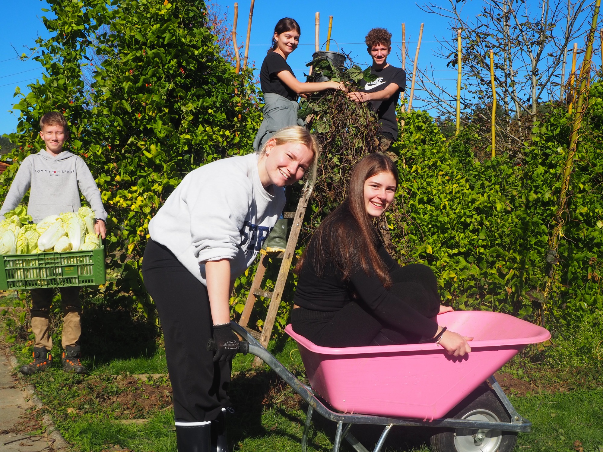 Schulprojekte © FS Neudorf