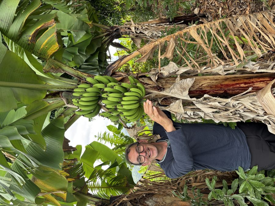 Eindrücke vom Besuch in der Partnerschule La Réunion